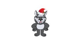 Wolf on Christmas hat 